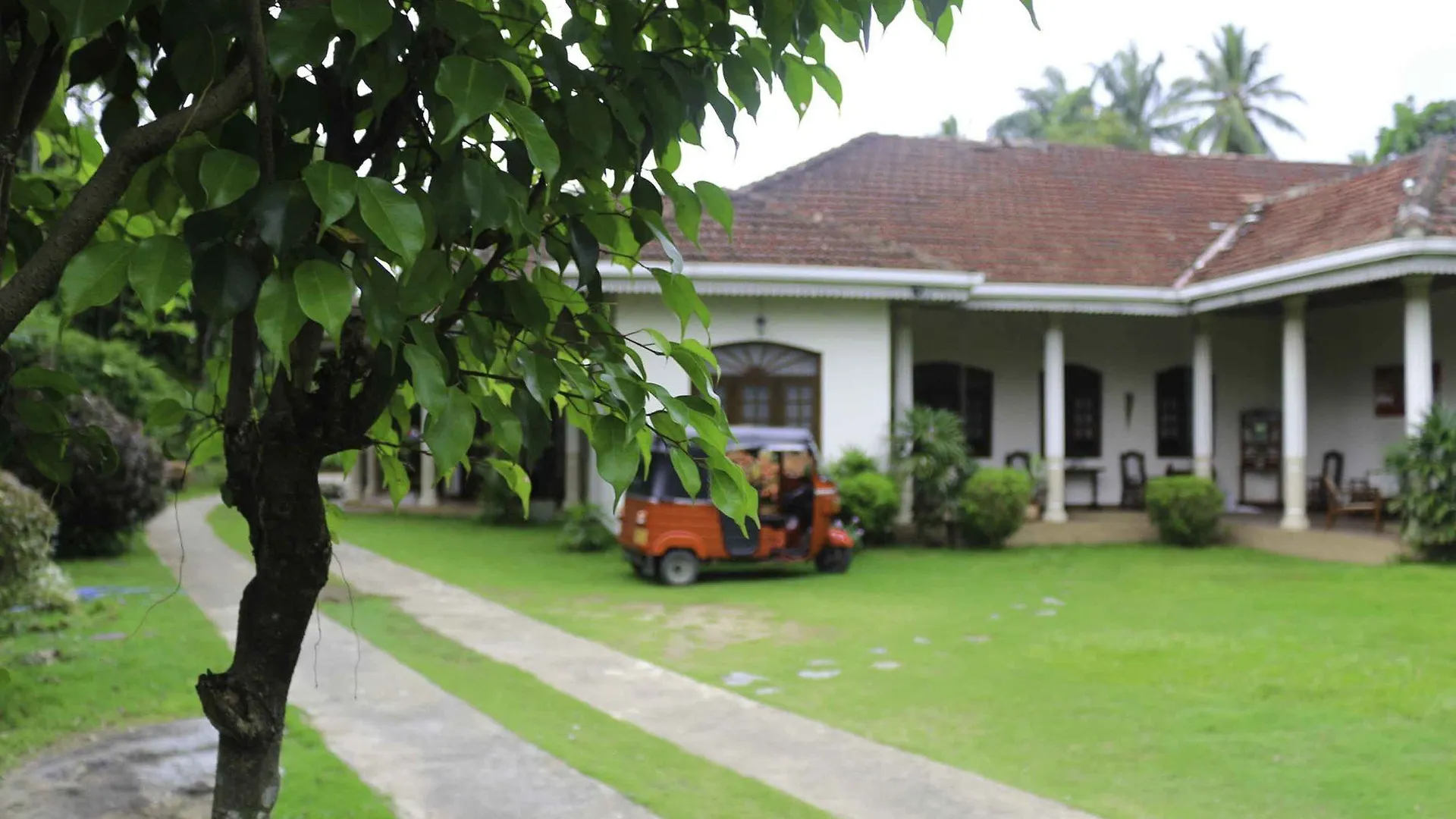 Yoho Granary Homestay 康提